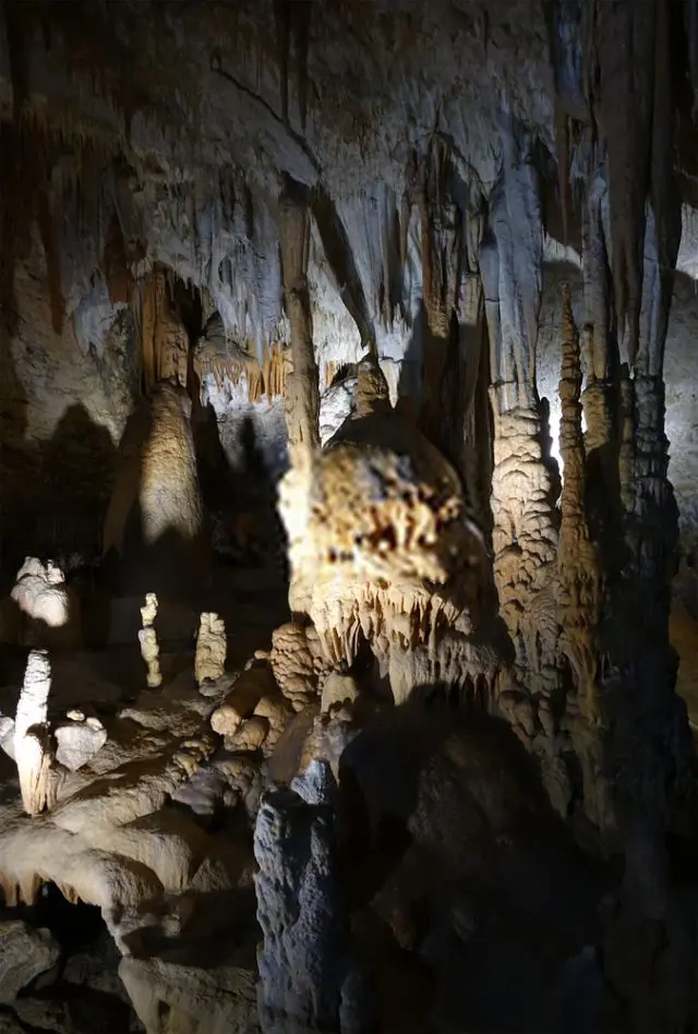 Le Grotte di Postumia (Postojnska jama), un intrecciarsi di 21 chilometri di gallerie, tunnel, magnifici corridoi e sale con concrezioni calcaree sono tra le grotte aperte al pubblico più famose e visitate del mondo.