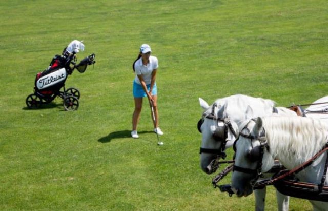 Il campo da golf di Lipica è stato costruito nel 1989 secondo i piani di Donald Harradine, progettista di campi da golf di fama mondiale.