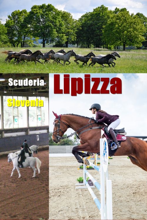 Lipica, situata nella regione del Carso in Slovenia, è un paradiso per gli amanti dei cavalli e della natura. La famosa Lipica Stud Farm, uno dei più antichi centri di allevamento di cavalli al mondo, è l'attrazione principale della zona, dove si possono ammirare i pregiati cavalli Lipizzani.