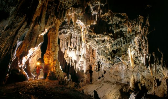 Le Grotte della Slovenia sono uno dei tesori naturali più preziosi d'Europa - immergiti in questo incredibile paesaggio sotterraneo e vivi un'avventura indimenticabile.