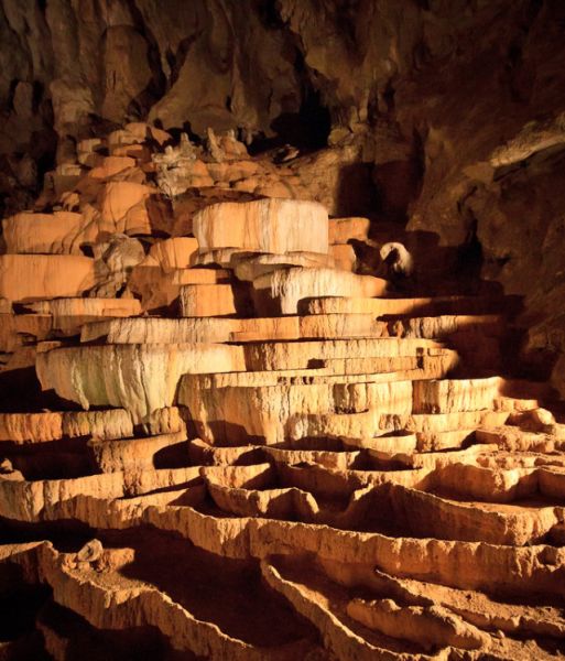 Esplora il meraviglioso mondo sotterraneo delle Grotte della Slovenia e lasciati affascinare da stalattiti, stalagmiti e affascinanti formazioni rocciose.