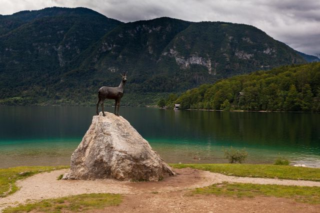 Scoprire la magia del Lago di Bohinj: attività e attrazioni imperdibili