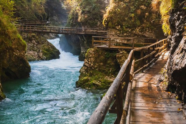 Un sentiero tra la natura incontaminata della Slovenia