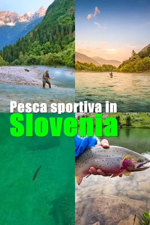Slovenia: il paradiso dei pescatori appassionati
