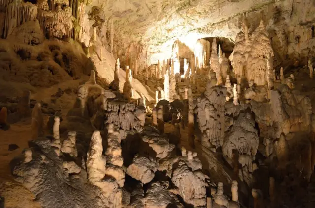 Esplorare la bellezza nascosta della Slovenia: itinerario attraverso castelli e grotte
