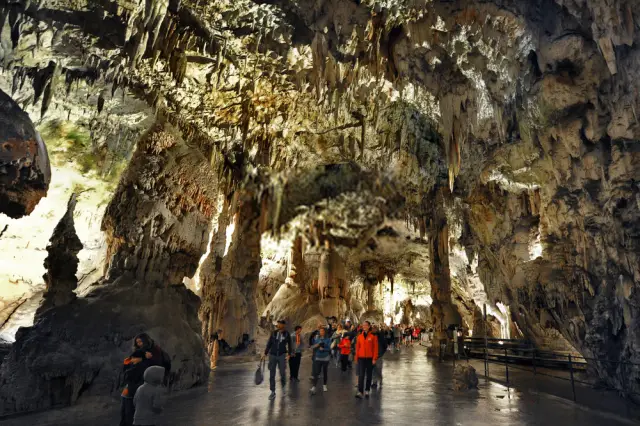 Slovenia turismo con guida: Esplora le Grotte di Postumia e molto altro.