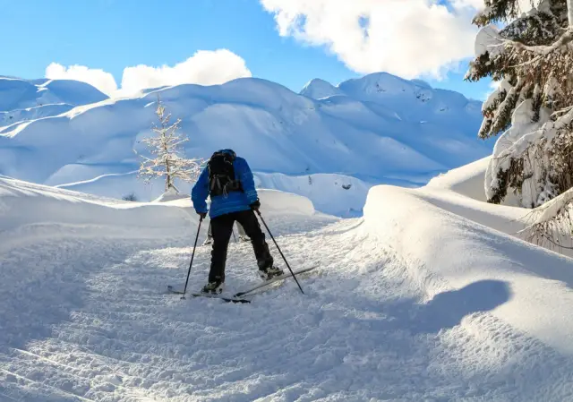 Innamorarsi della Neve: Sport Invernali da Sogno in Slovenia
