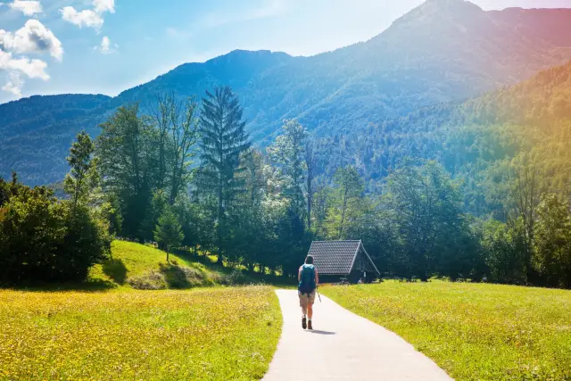 Sentieri naturali e flora unica durante le escursioni in Slovenia