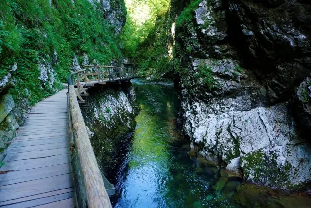 Natura incontaminata e panorami mozzafiato ti aspettano in Slovenia.