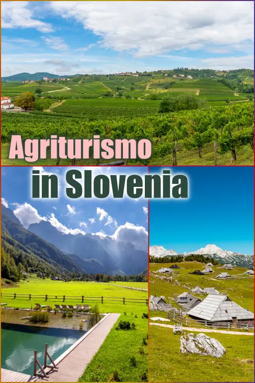 L'agriturismo è una forma di ospitalità che unisce il fascino della vita rurale con il comfort delle strutture moderne.