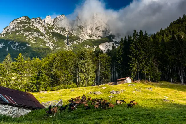 Esplora i sentieri panoramici che circondano l'agriturismo e immergiti nella bellezza naturale della Slovenia.