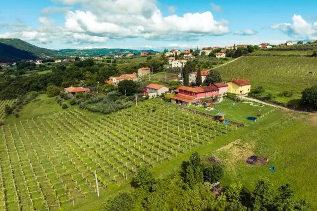 L'agriturismo in Slovenia offre un'esperienza di viaggio davvero coinvolgente che combina il meglio del fascino rurale, delle delizie culinarie e dell'immersione culturale.