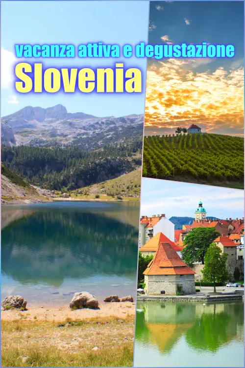 tour Slovenia lusso spa e cantine