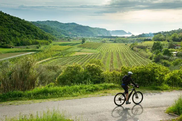cicloturismo Istria Parenzana