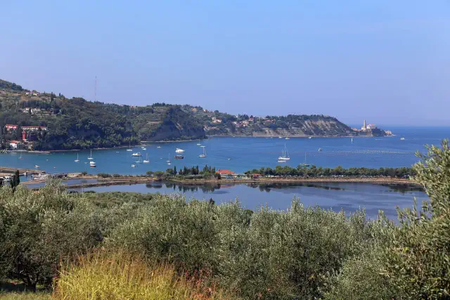 migliori località mare Slovenia